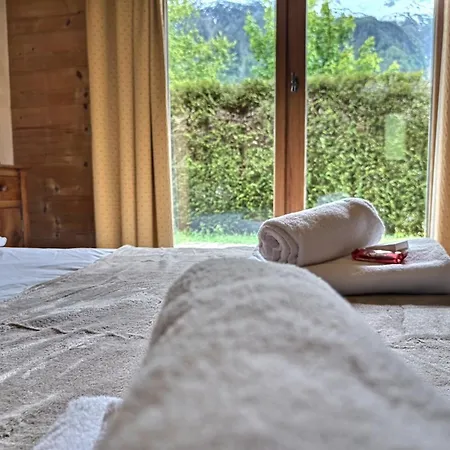 Spacieux A Pour 9 - Vue Panoramique Mont-blanc, Jacuzzi, Jardin & Parking Chamonix